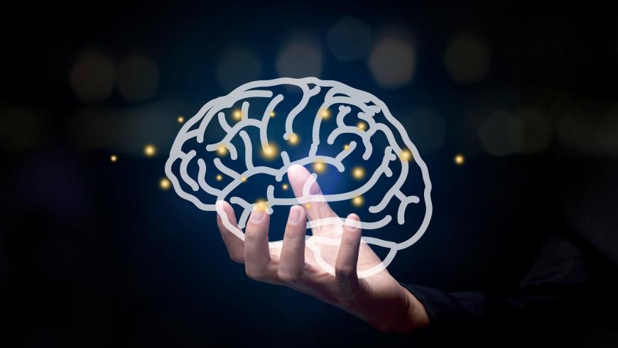 Brain Wellness
